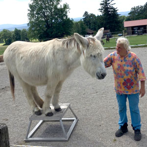 Friedel zeigt ein sehr schwieriges Kunststück, die -Bergziege-