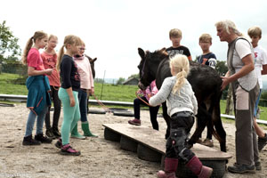 Ein Zirkuskunstst&uuml;ck wird gemeinsam erarbeitet