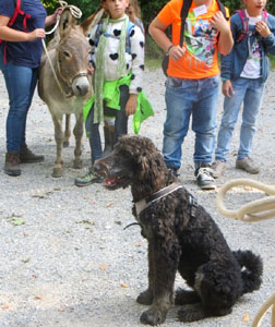 Wandertag mit Schulklasse