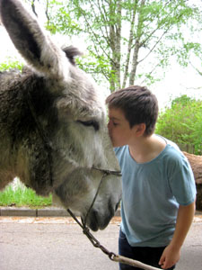N&auml;he aufba&uuml;n, zulassen, geniessen