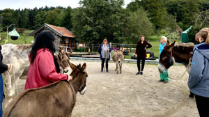 Gruppentherapeutische Massnahme